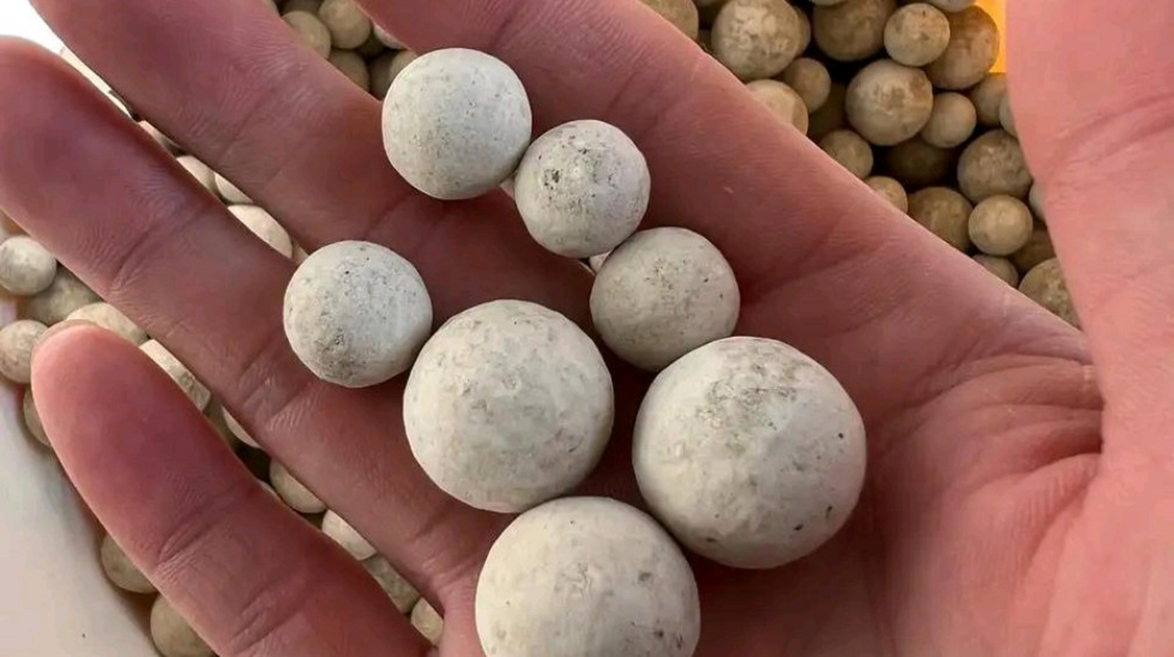 你发了!全是舍利子,又可能是九转还魂丹,宝贝啊