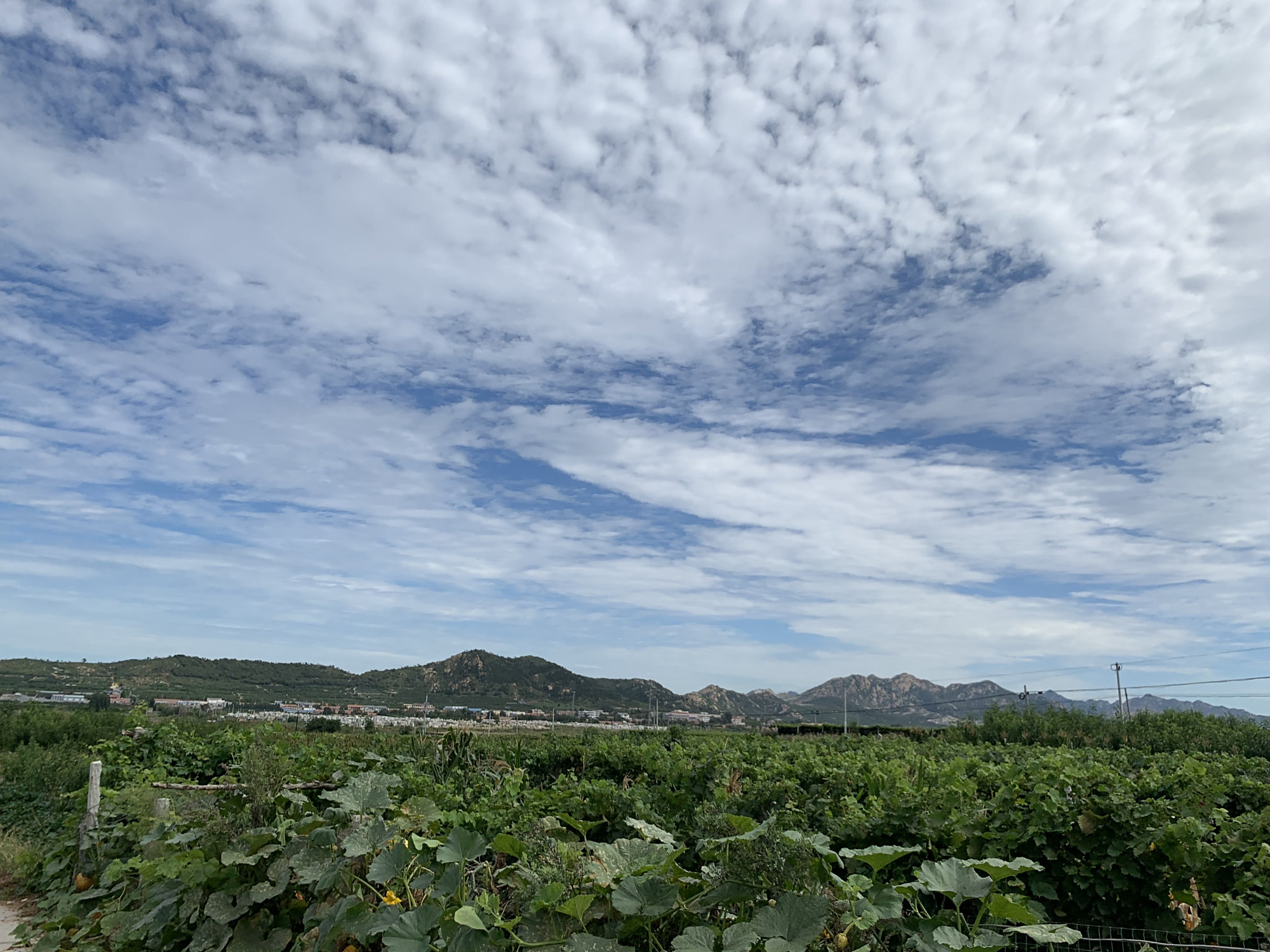 风景如画的平度市大泽山镇淄阳河水库,天蓝水碧,好惬意心向往之