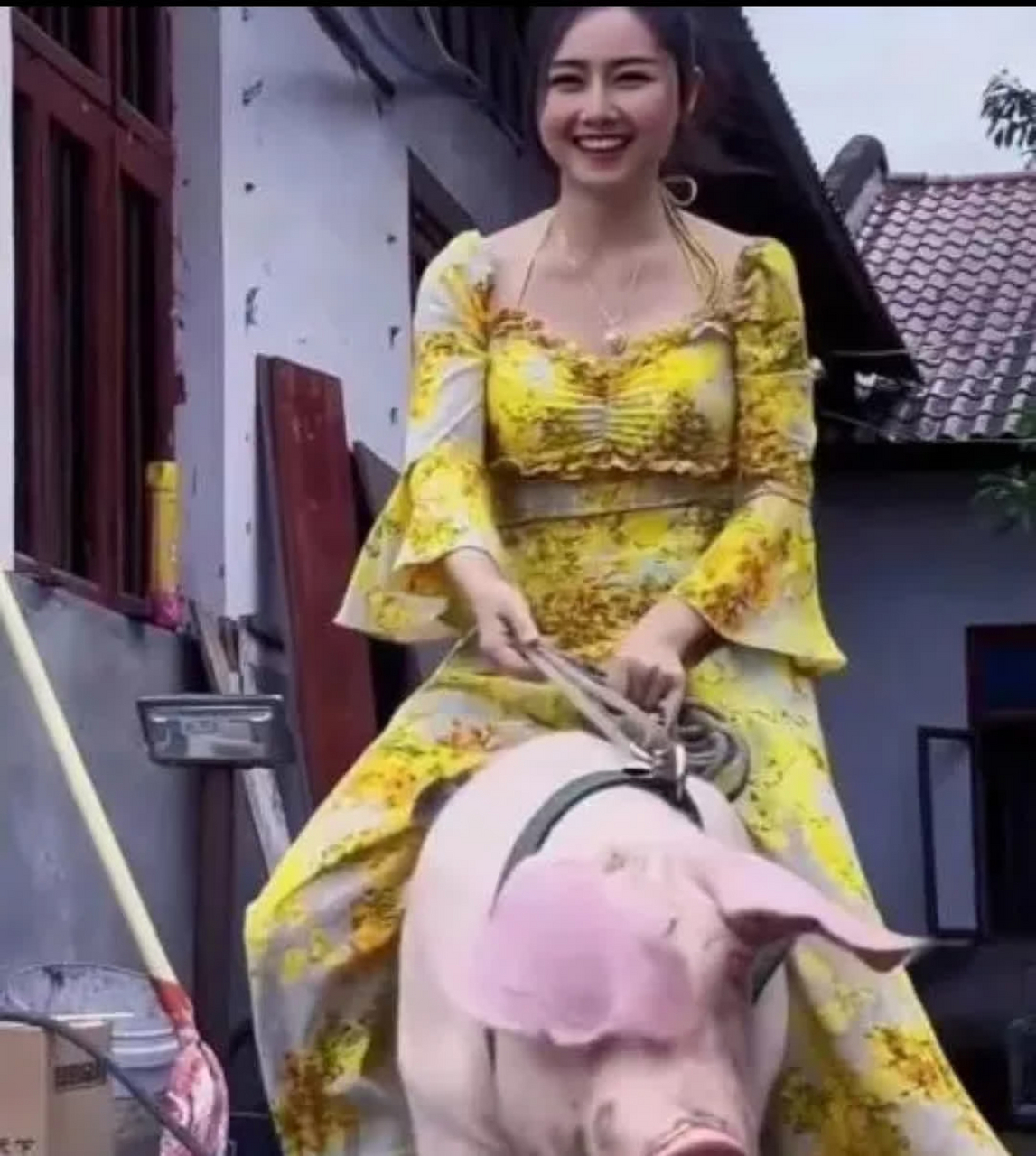 见过骑马 骑驴,头一回见骑猪的[笑哭]