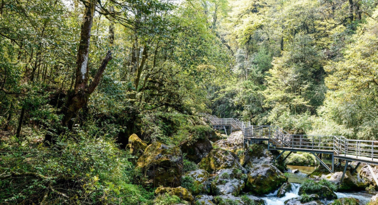 雅安大川镇旅游景点