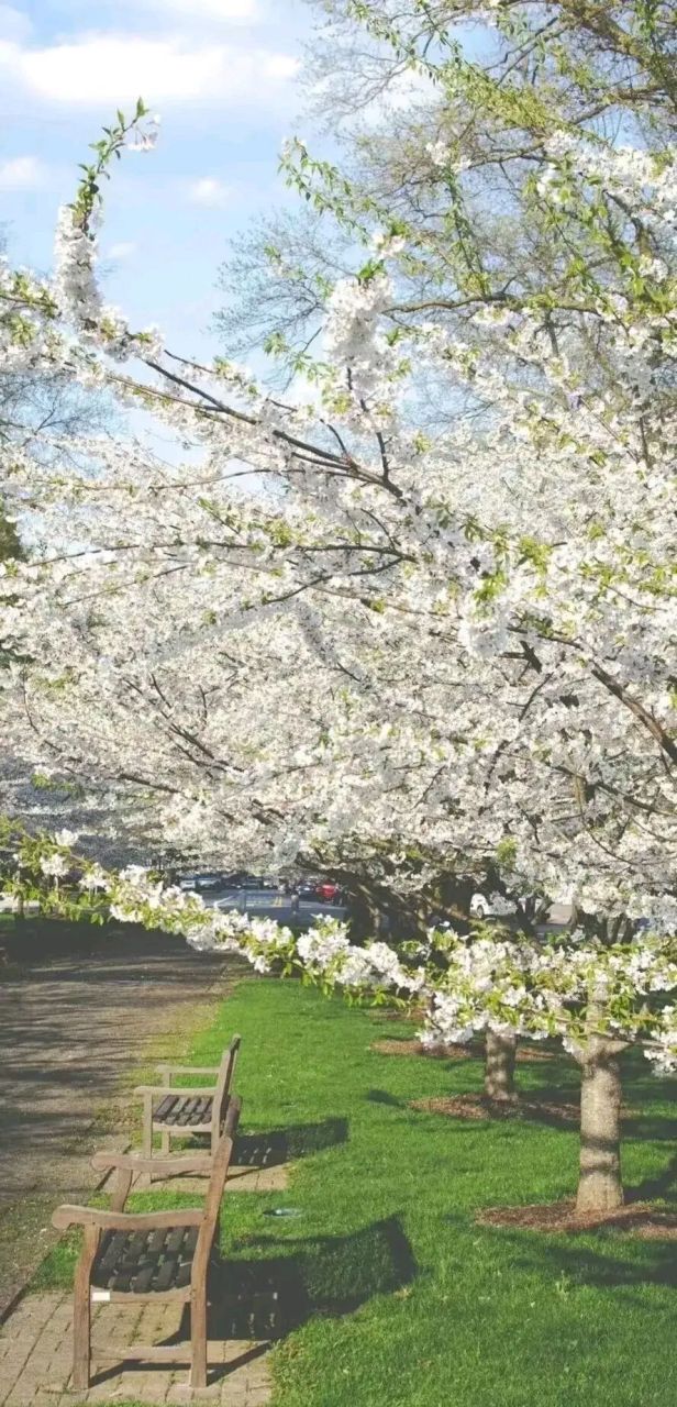 十二星座最佳情侣配对 你们找到最佳星座情侣了吗?