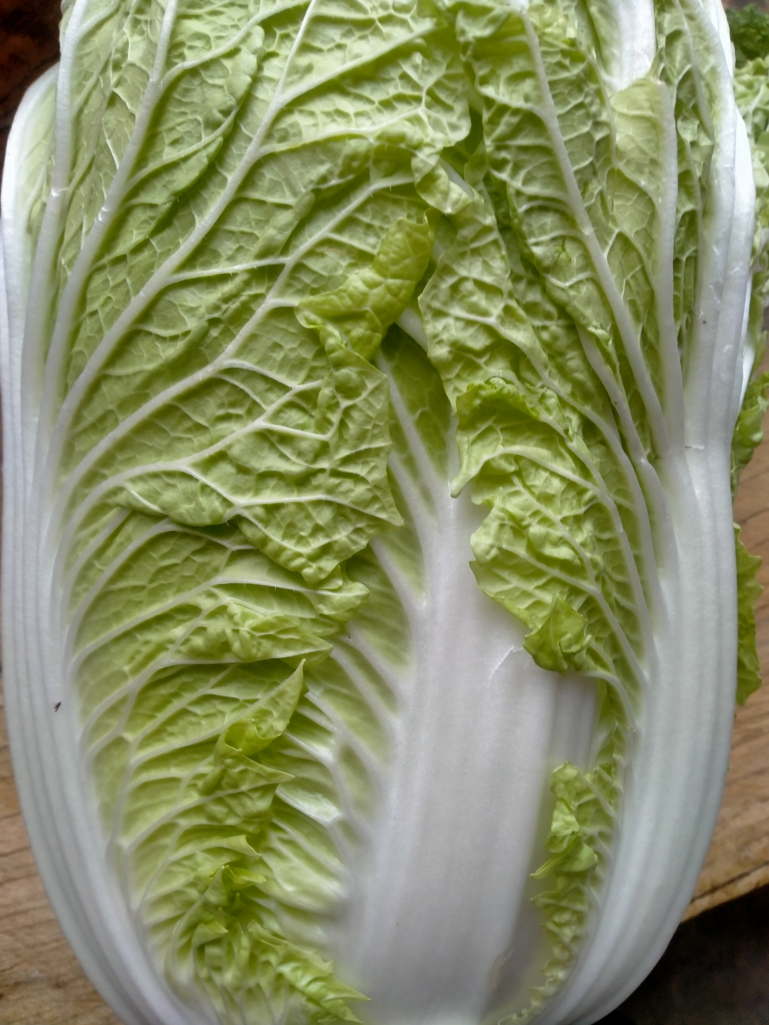 天价大白菜