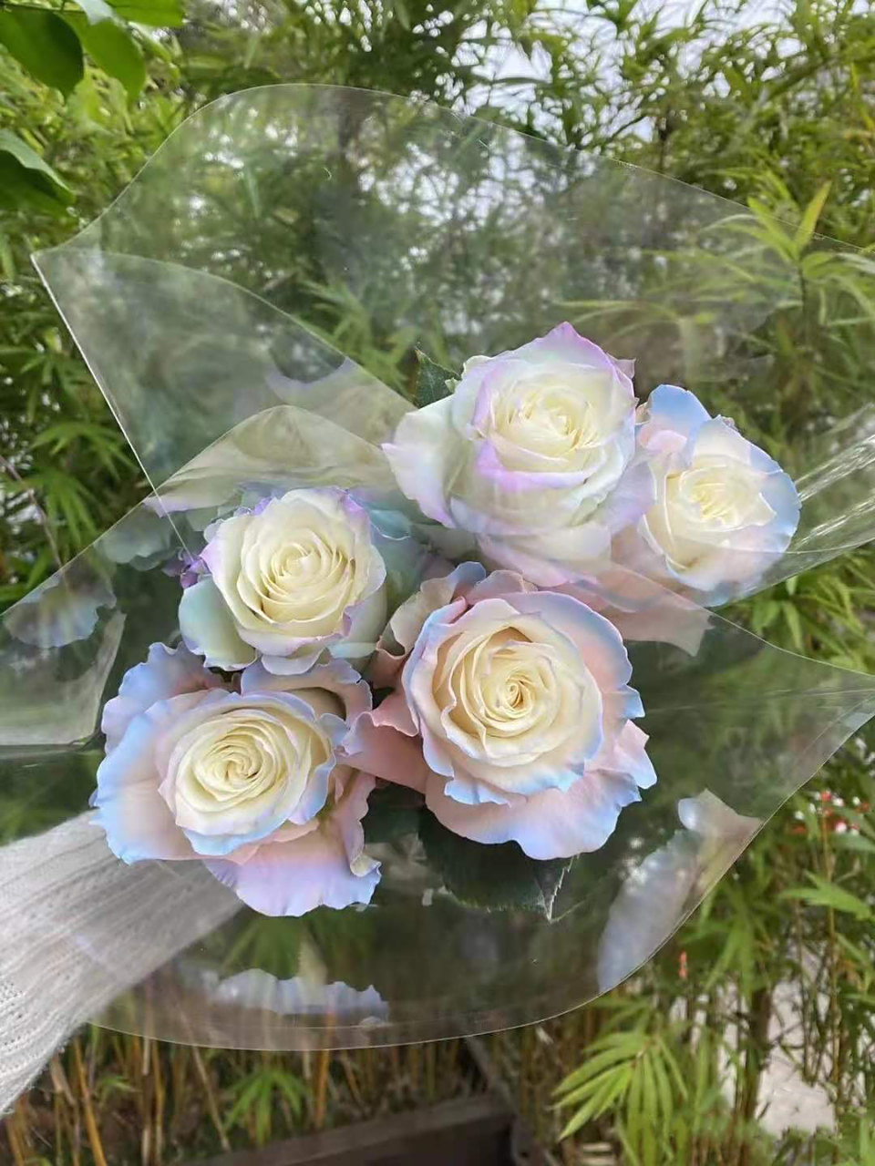 欧若拉玫瑰,花语:"北极光与我,都会在黎明破晓前出现.