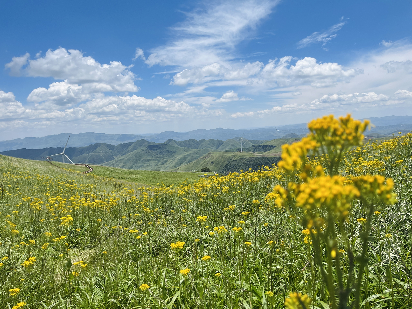 暑假带孩子四处玩玩,贵州毕节赫章,阿里西里韭菜坪,阿里西里大草原.