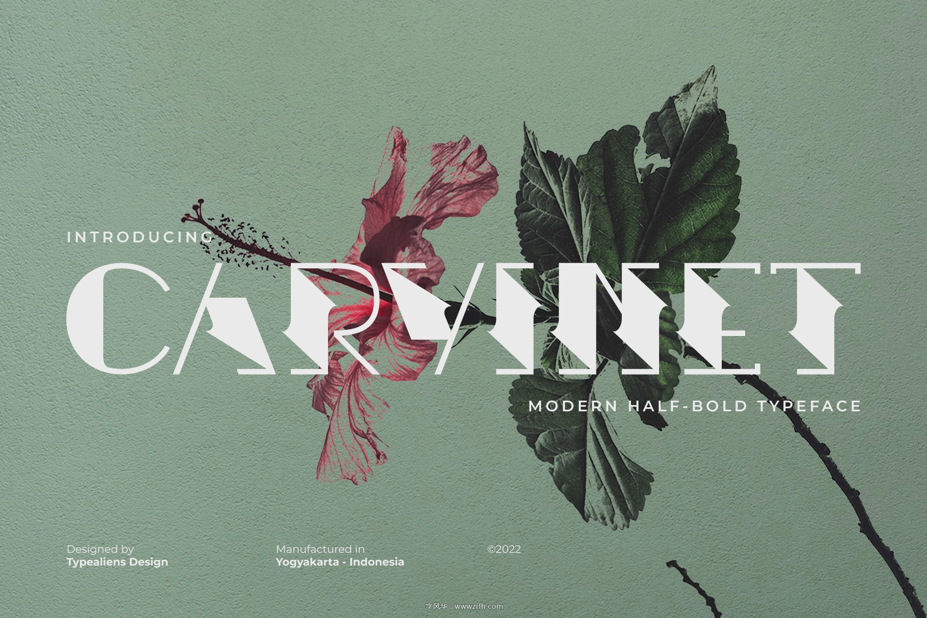 Carvinet Font.jpg