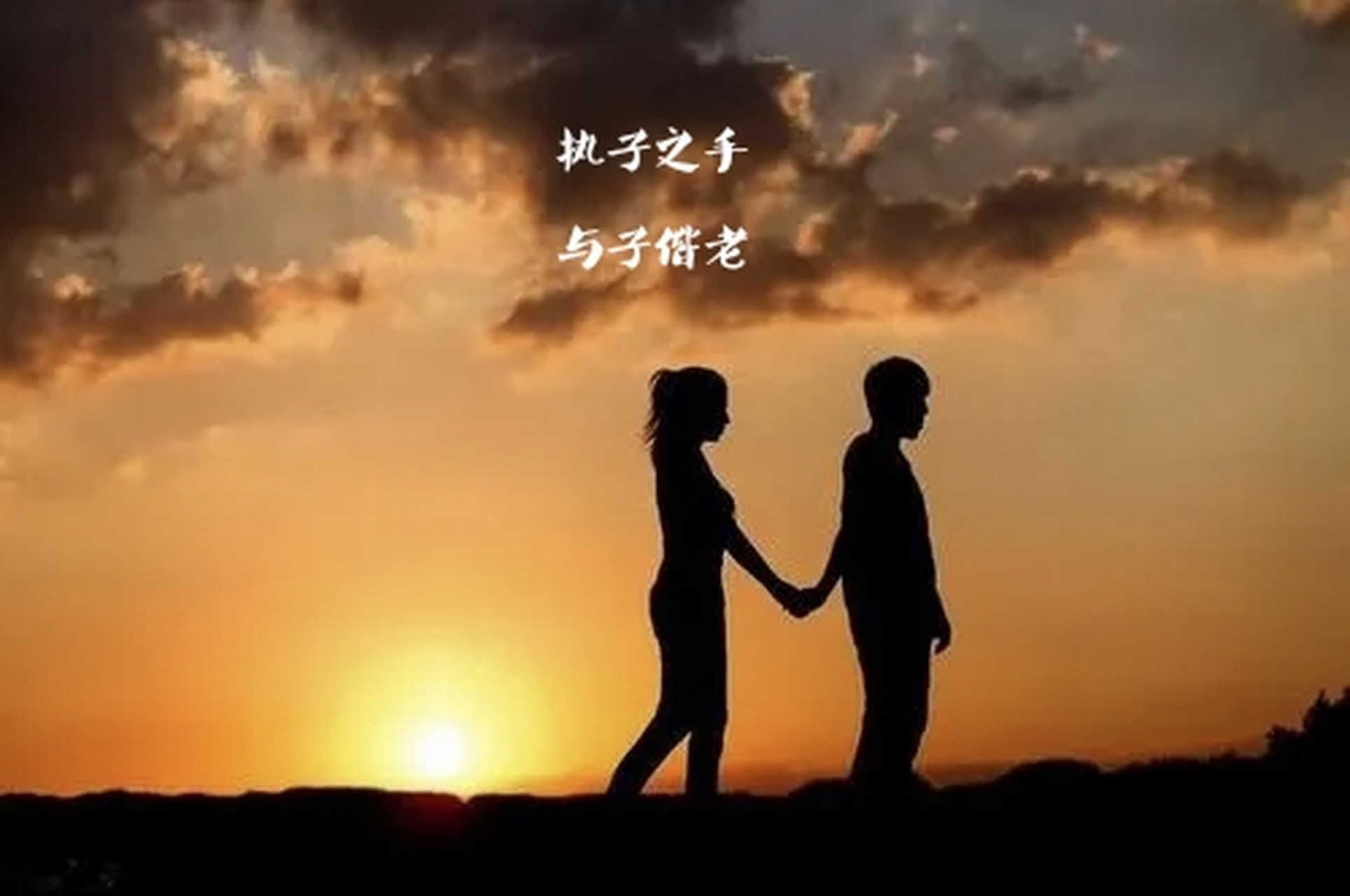 心之所向:执子之手,与子偕老