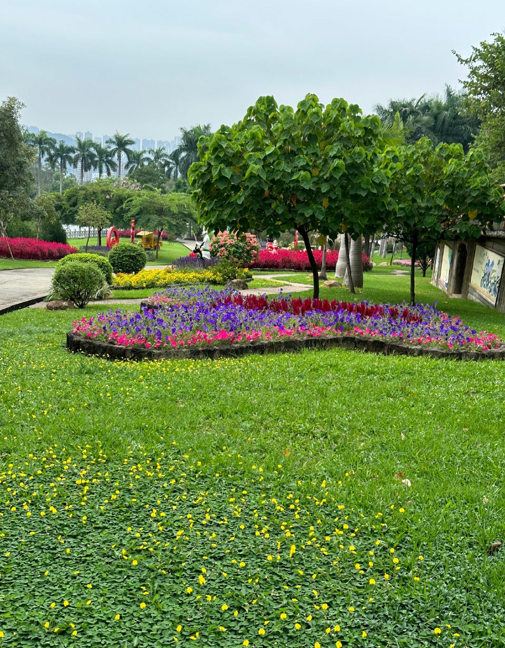 广州莲花山公园溜达一圈,祈求观世音菩萨保佑我们的祖国兴旺发达,保佑