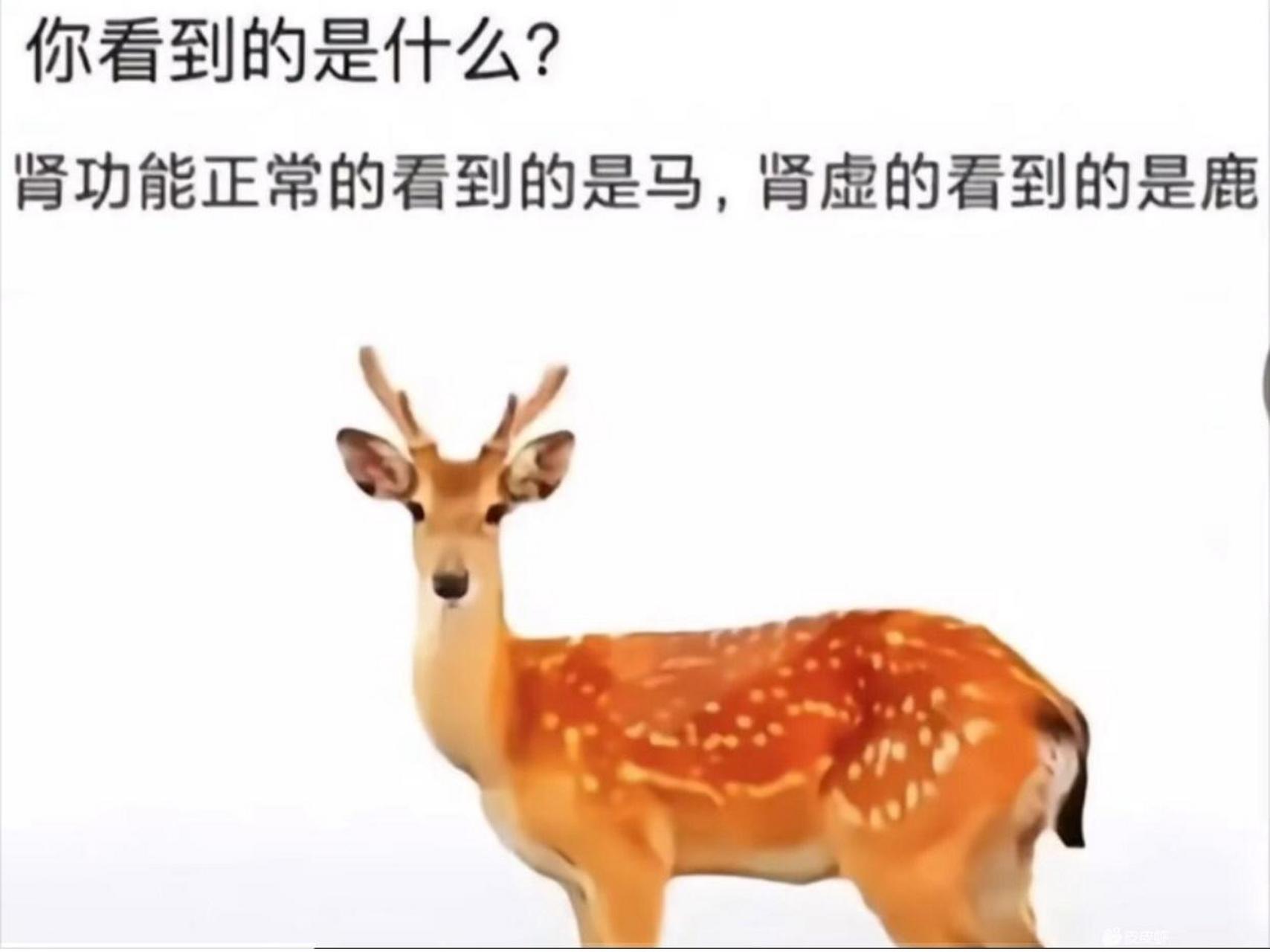 [嘻嘻][嘻嘻]反正我看到是马![滑稽][滑稽]#我要上热门# #生活