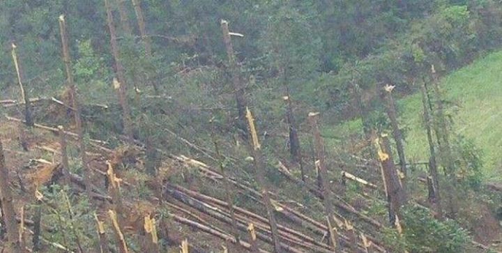 贵阳往事——"空中怪车"事件回顾