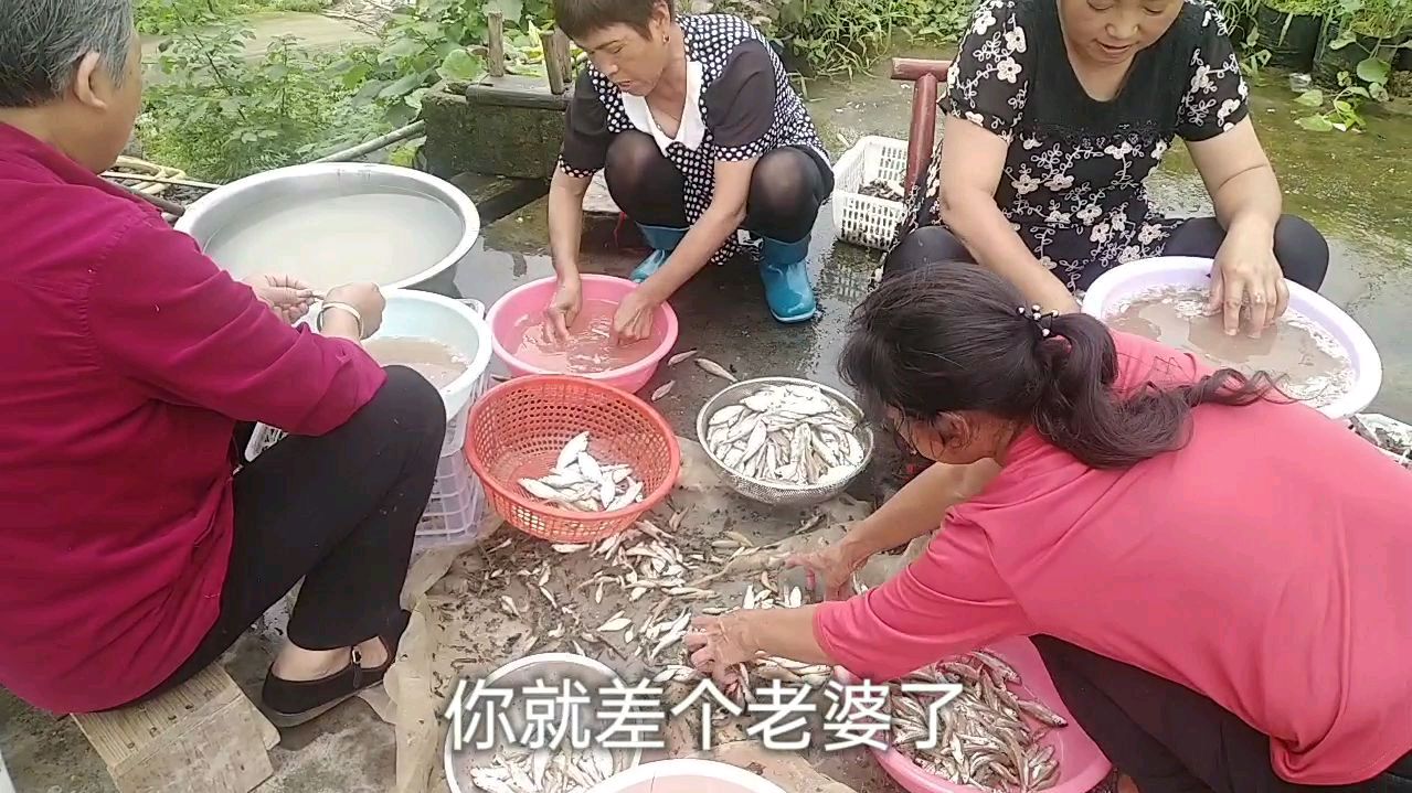 最近暴雨发洪水,我舅晚上弄百斤野生鱼,杀鱼阿姨要给我介绍对象