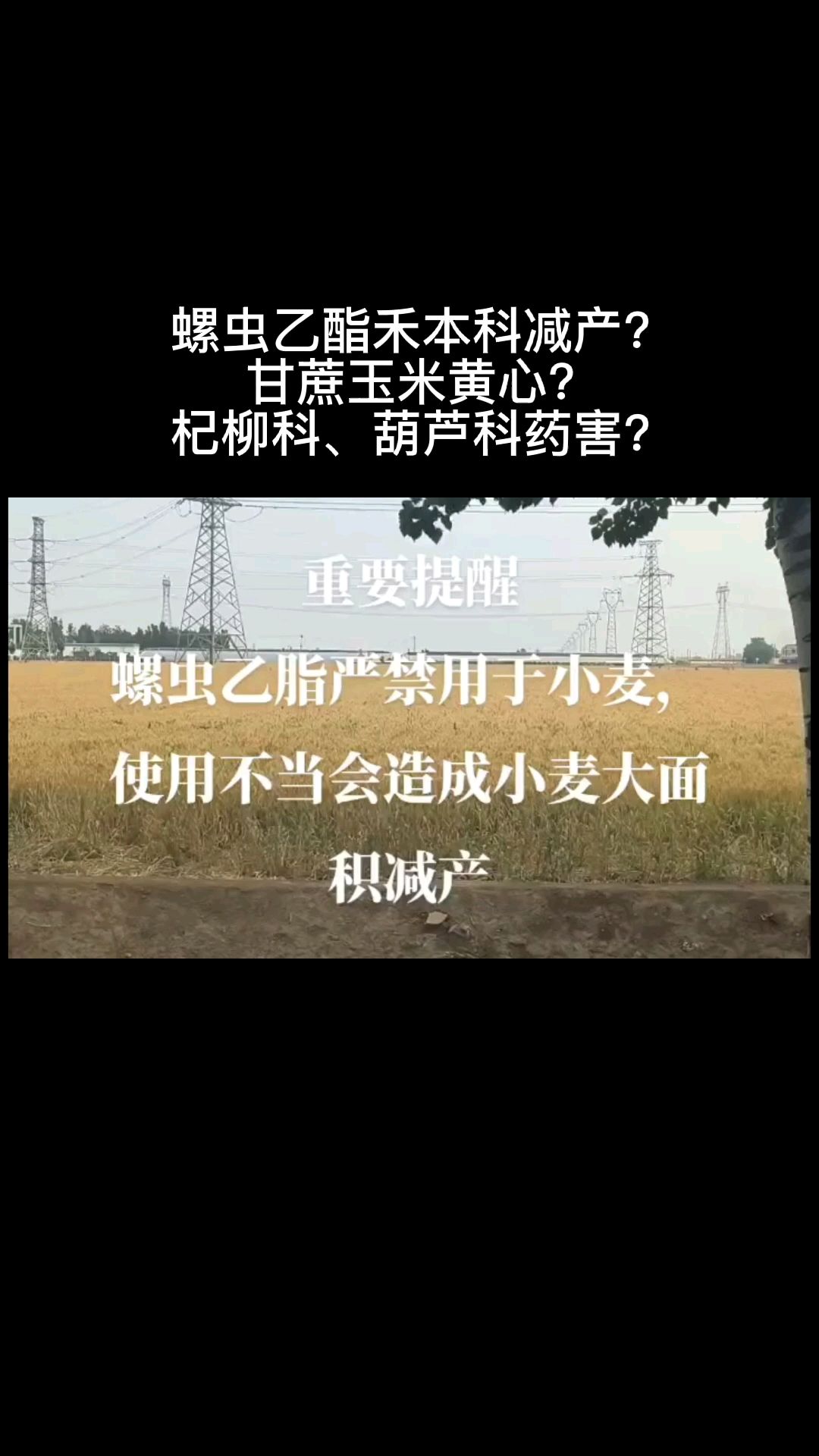 螺虫乙酯说是按照除草剂研制的以上说法是否正确