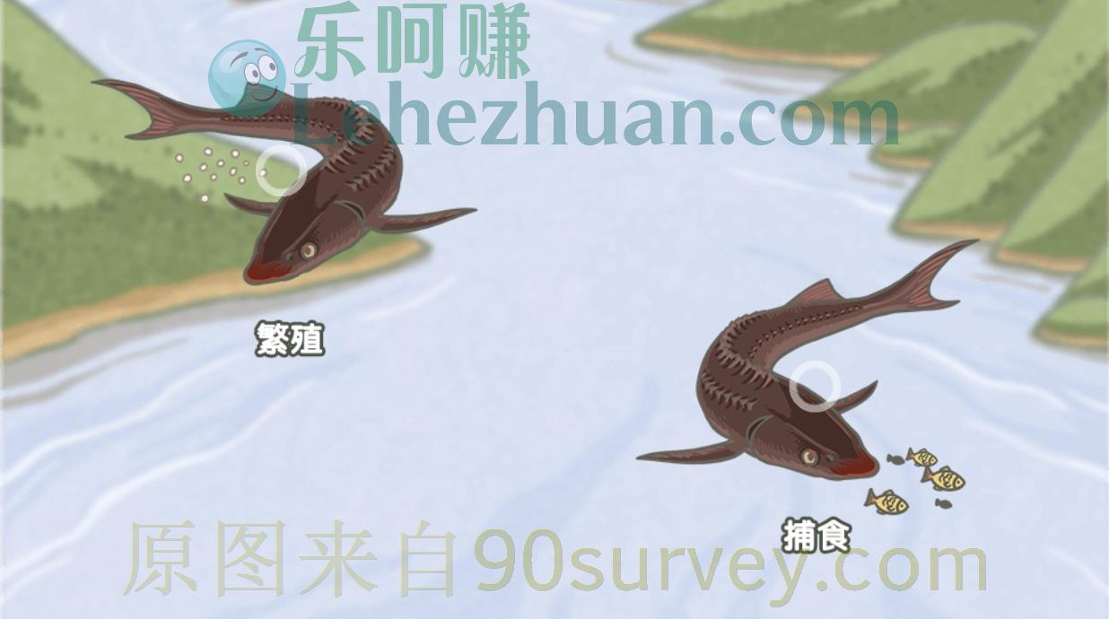 中华鲟从大海游回长江主要是为了?答案:繁衍后代 中华鲟从大海游回长江主要是为了?答案:繁衍后代