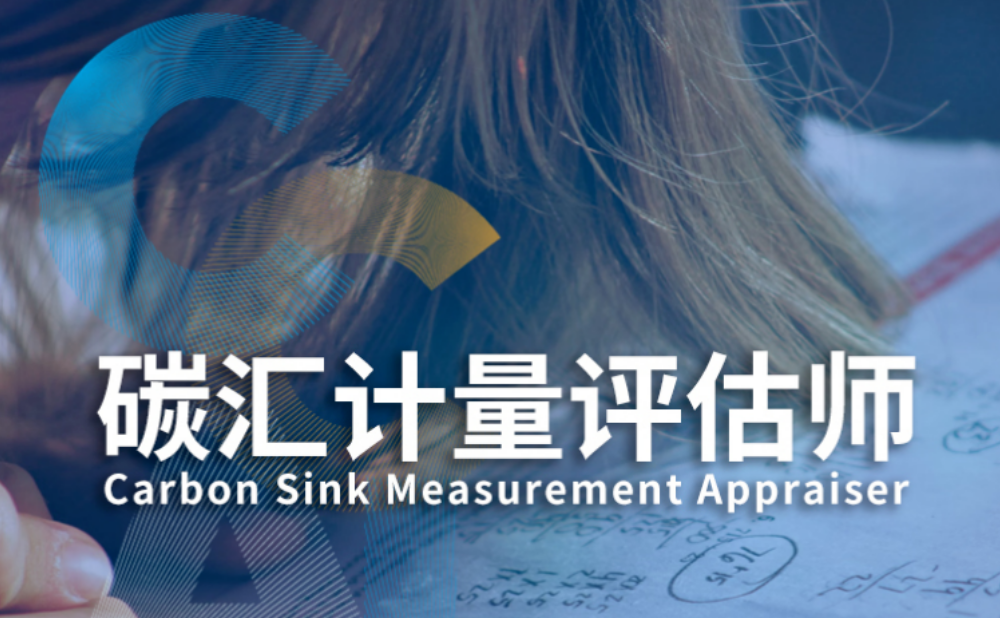 碳汇计量评估师如何进行碳汇计量评估?