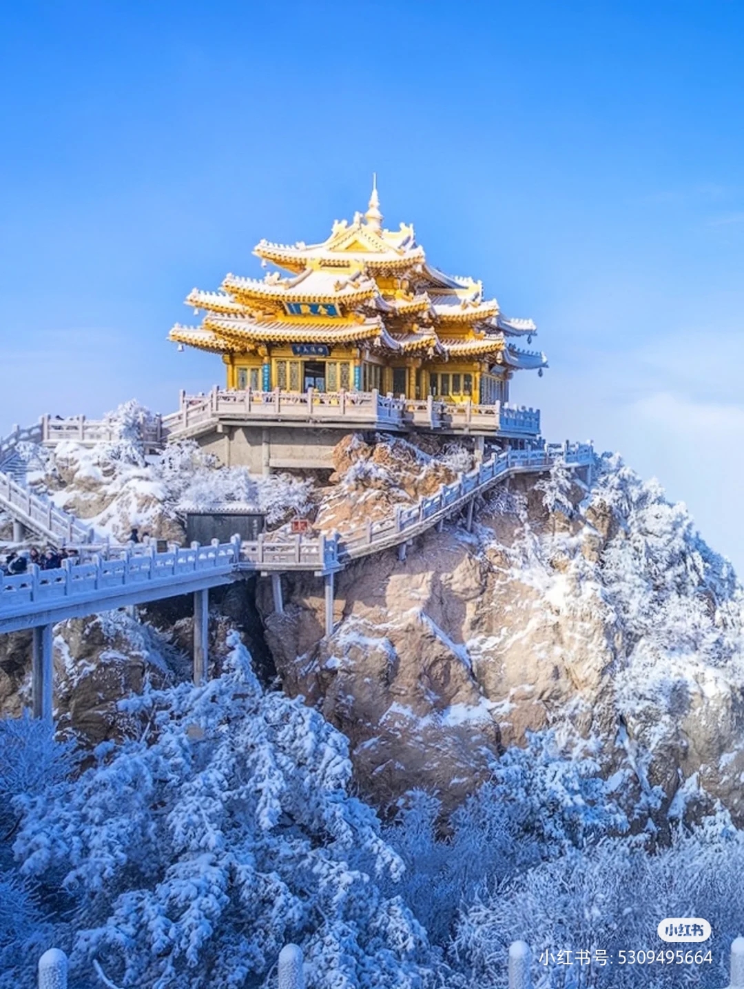 天下无双真境,天下第一仙山老君山风景有多绝,仿若置身仙境