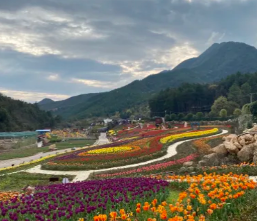 茶陵雲陽山景點介紹?