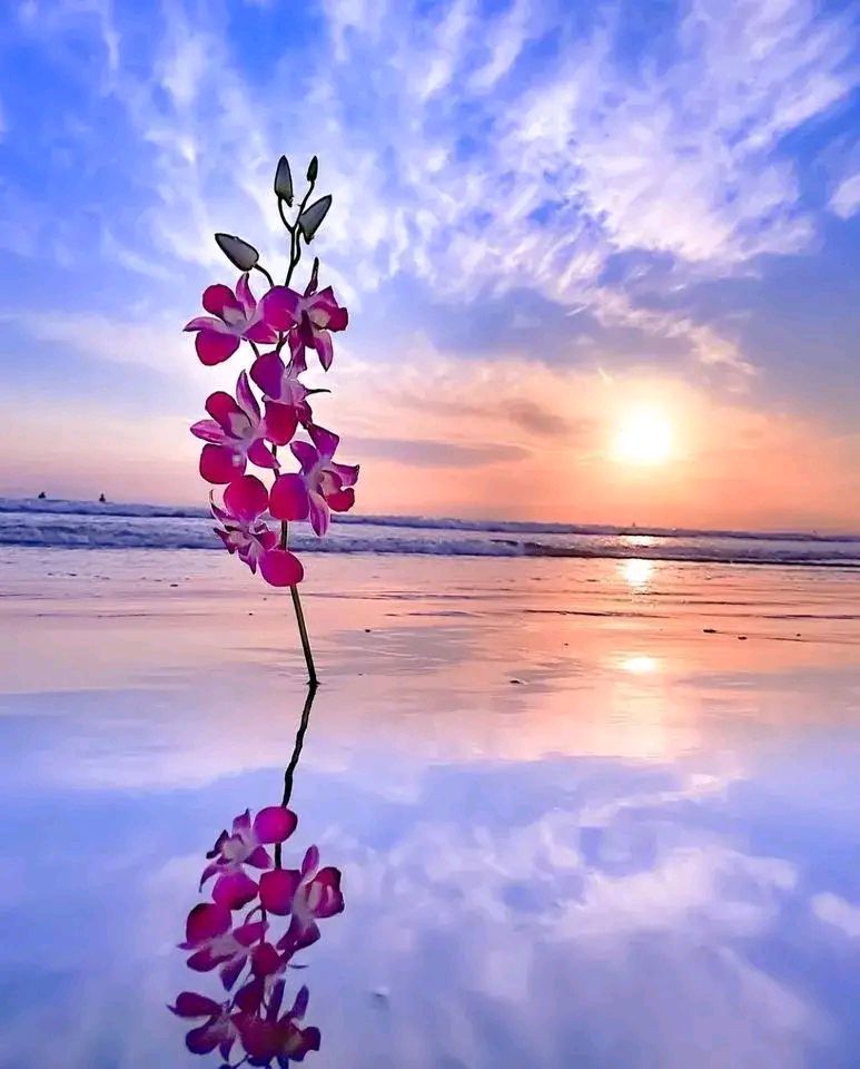 什么是豁达?豁达就是性格开朗,性情豪放;豁达就是气量大度,心胸宽广