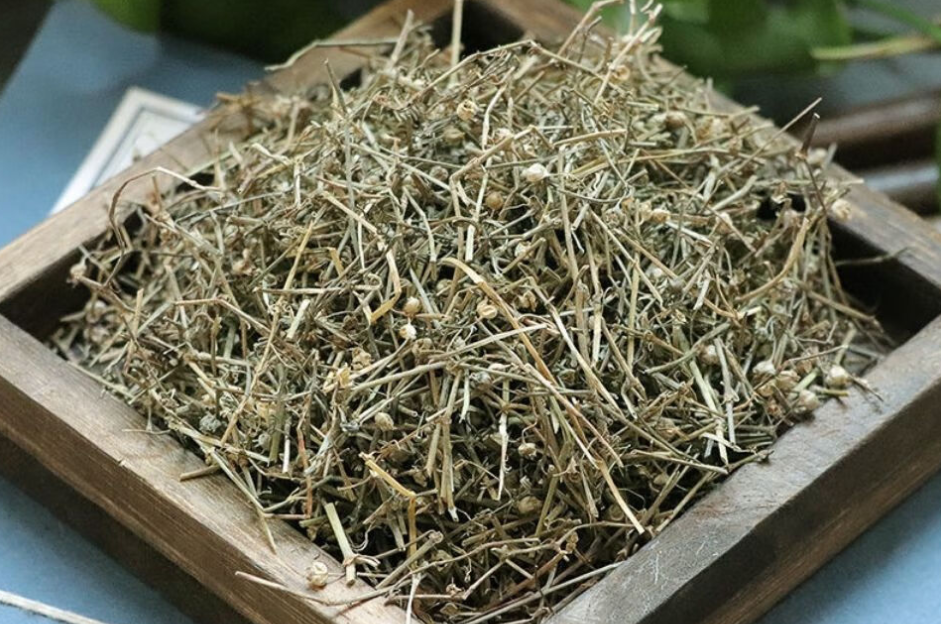 白花蛇舌草,又叫蛇总管,它有3大作用,农民朋友要了解!