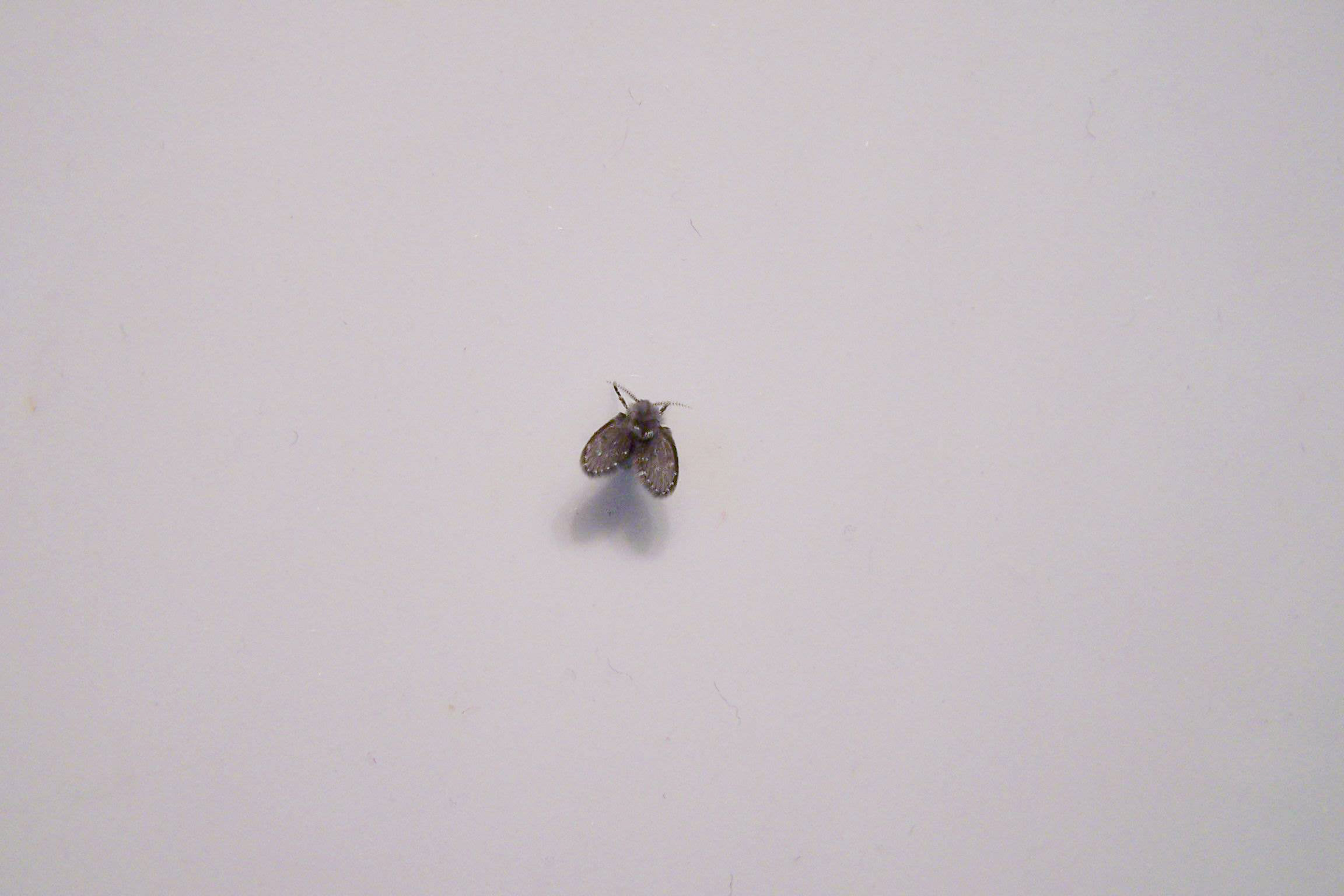 南方的朋友回避一下,这是我们.@小倩爱生活呀的动态