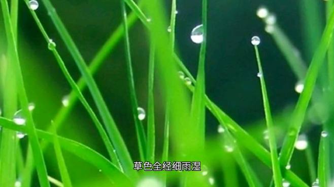 [图]“草色全经细雨湿，花枝欲动春风寒”出自王维的《酌酒与裴迪》