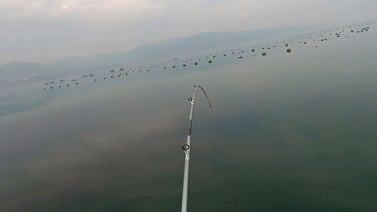 今年首钓大海鳗,真过瘾!今天钓鱼值了!