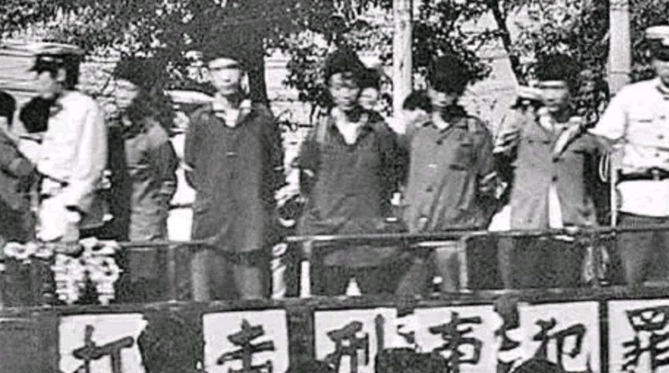 沸腾计划# 1983年,开国上将杨得志的女儿杨秋华和新婚丈夫去河南南阳