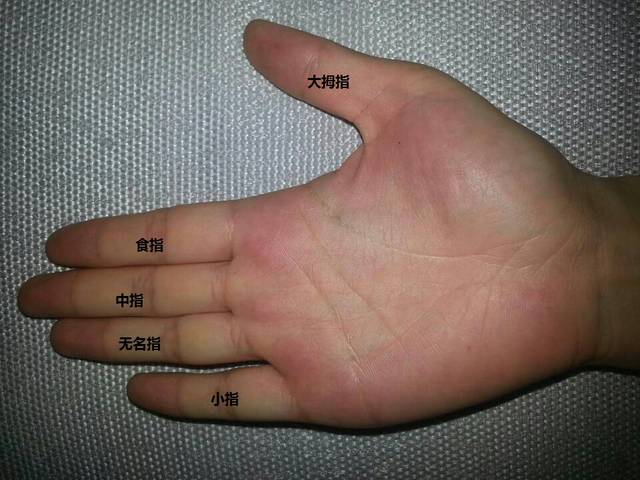 手指长度暴露人的本性:食指越长的人,越女性化,是有科学依据的