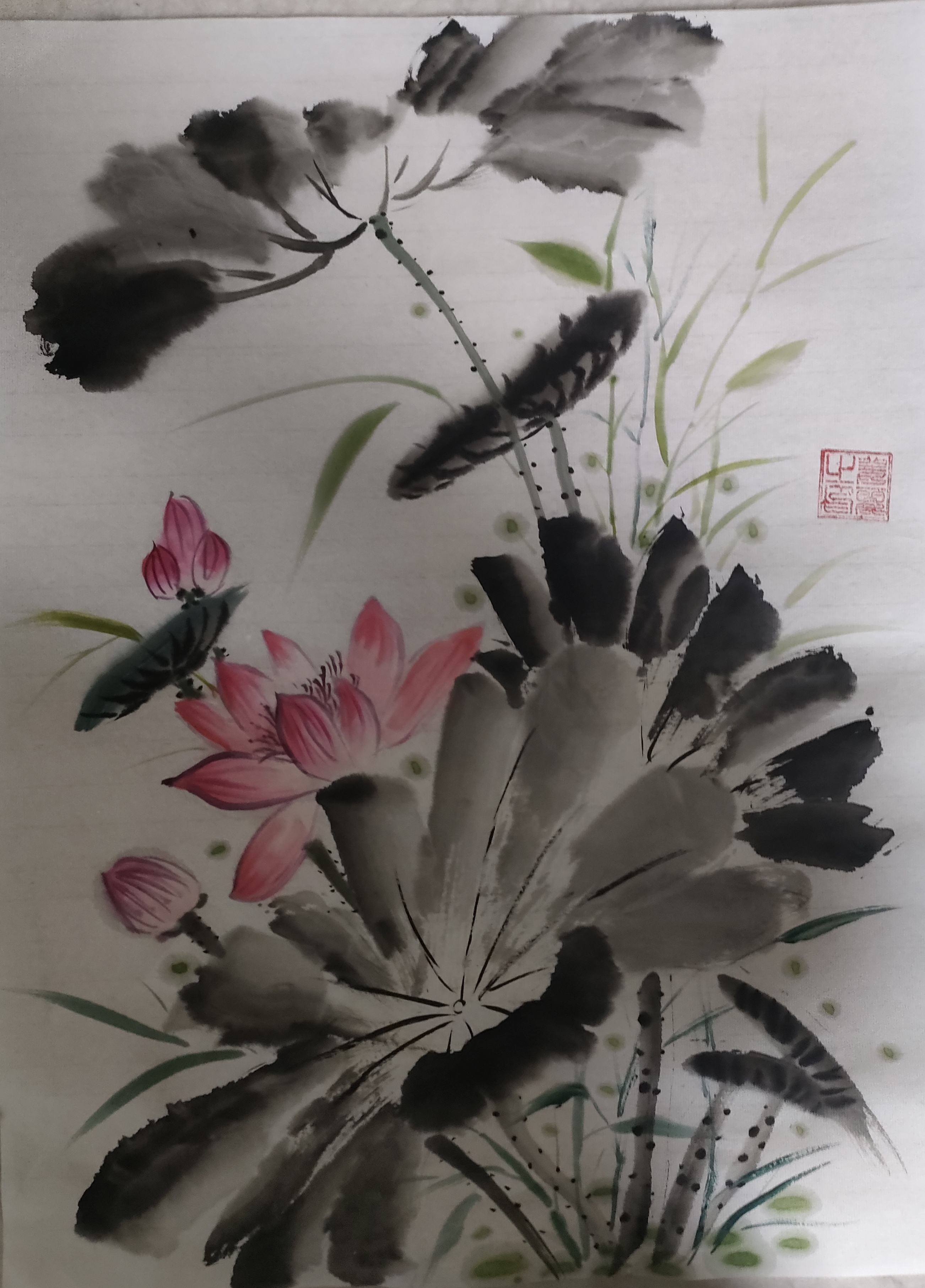 画画交流组# #国画荷花