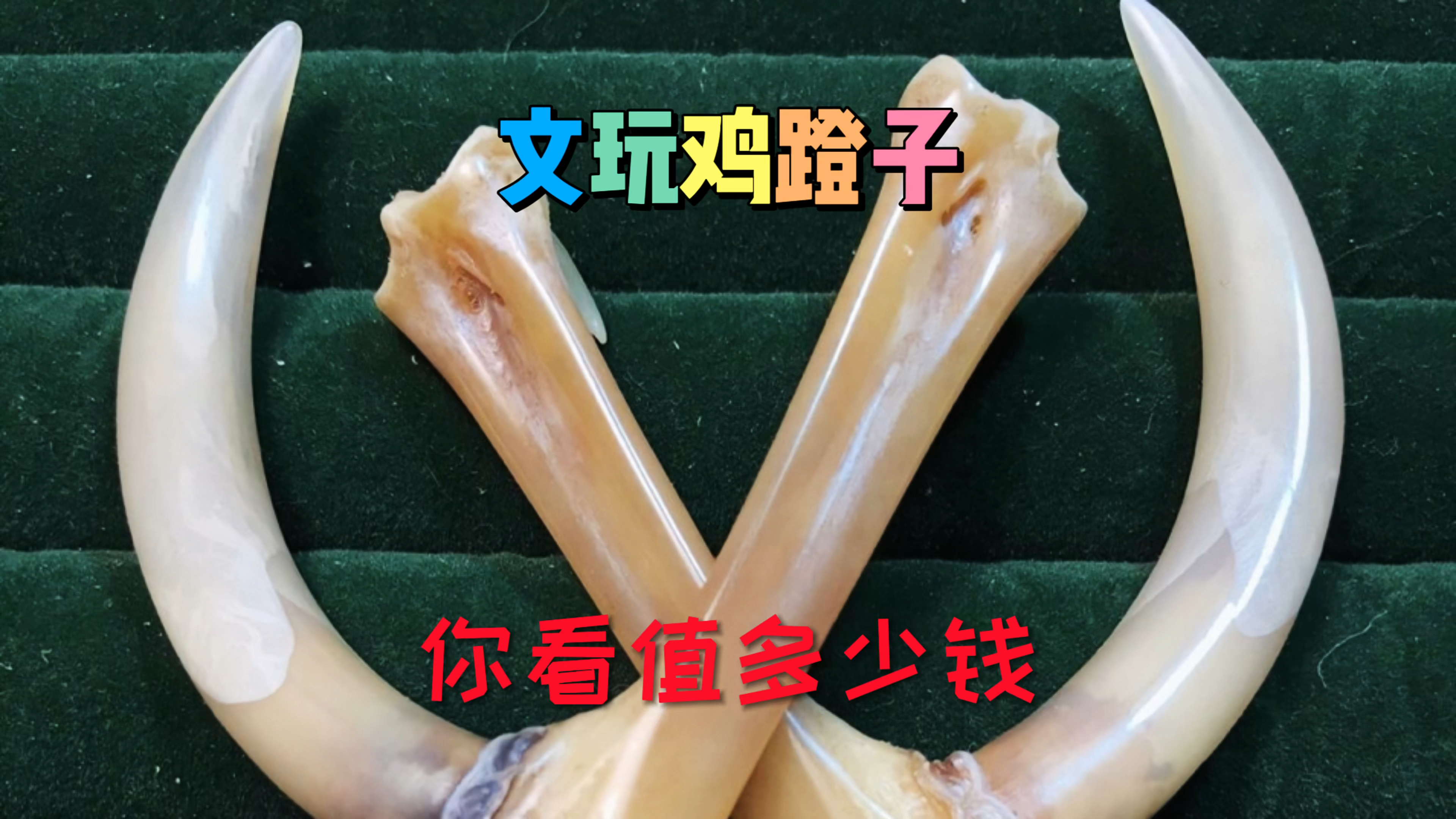 文玩鸡蹬子你看值多少钱