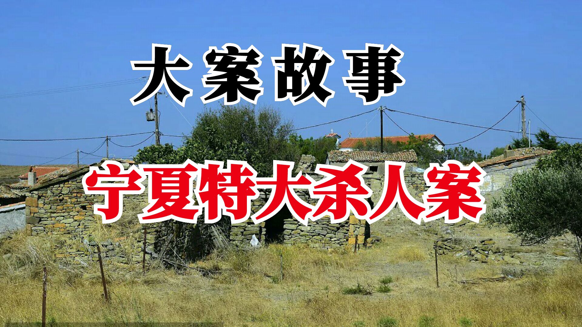 大案故事《宁夏泾源县大案》