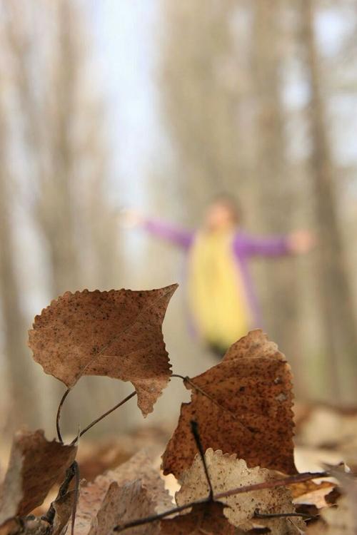 秋天,风吹叶落,美景欣赏