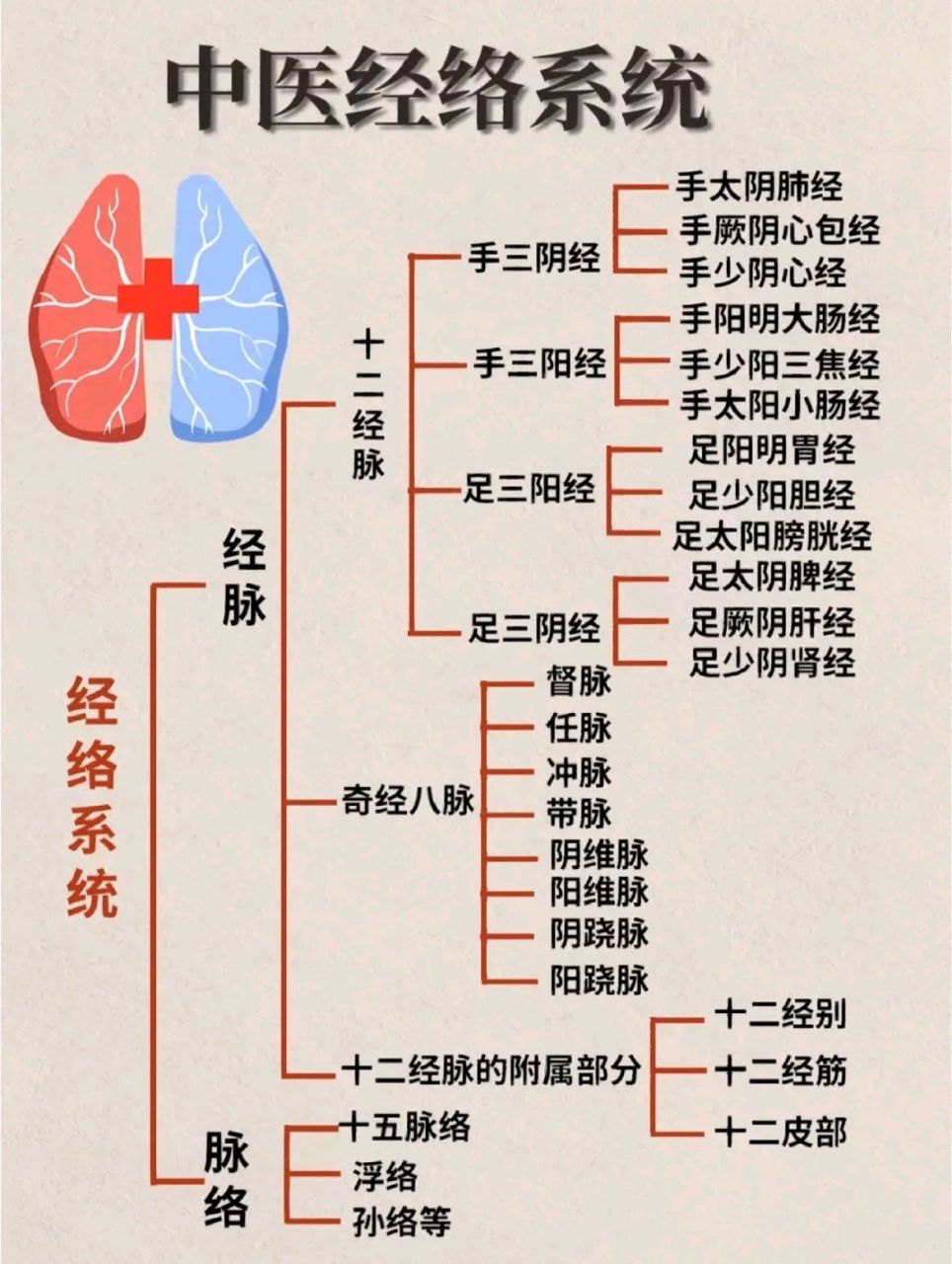 这张中医经络图,简单又好记,收藏下来慢慢研究 #经络穴位# #我要上热
