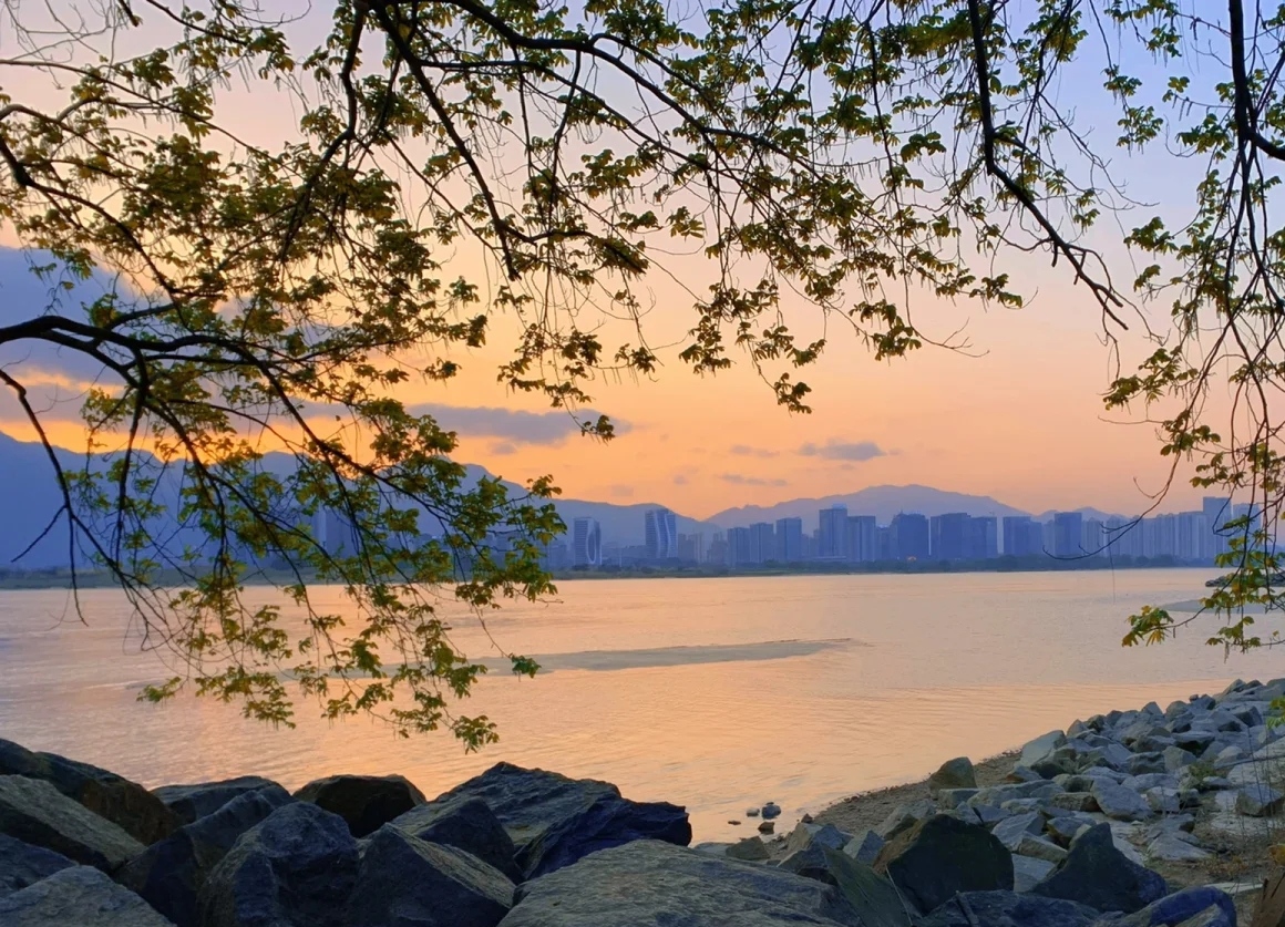 福州市区内拍照露营好去处——乌龙江湿地公园