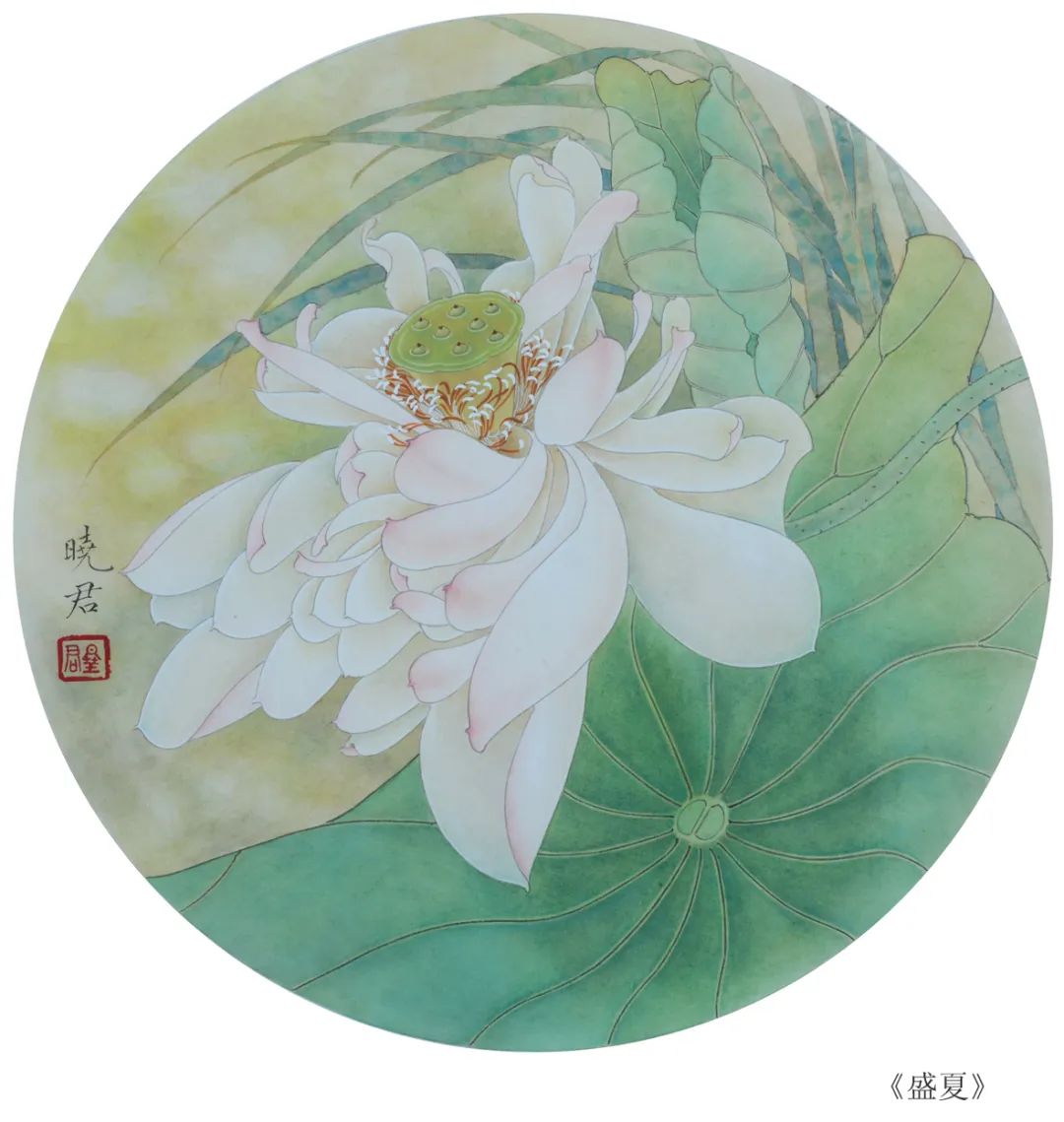 杨晓君工笔团扇荷花18图 清新淡雅