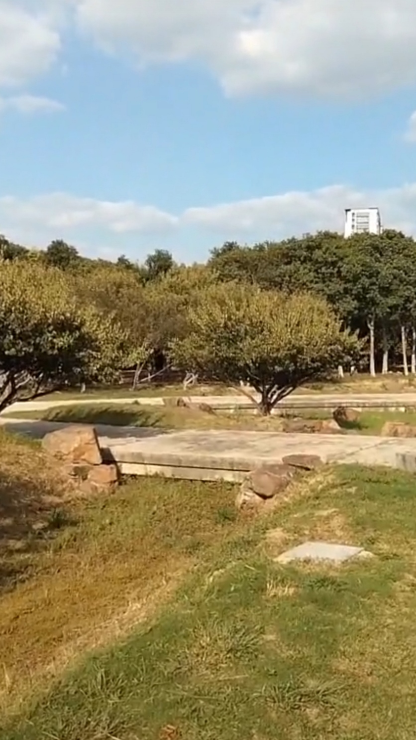 嘉兴植物园:领略自然之美,享受绿色生活