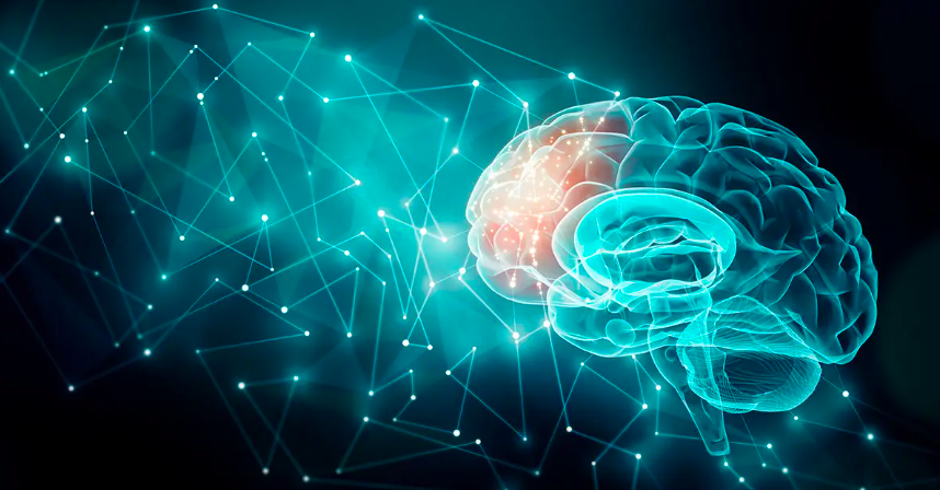 "新面孔"丨原创技术输出哈佛 这家企业打造脑科学领域尖端科技