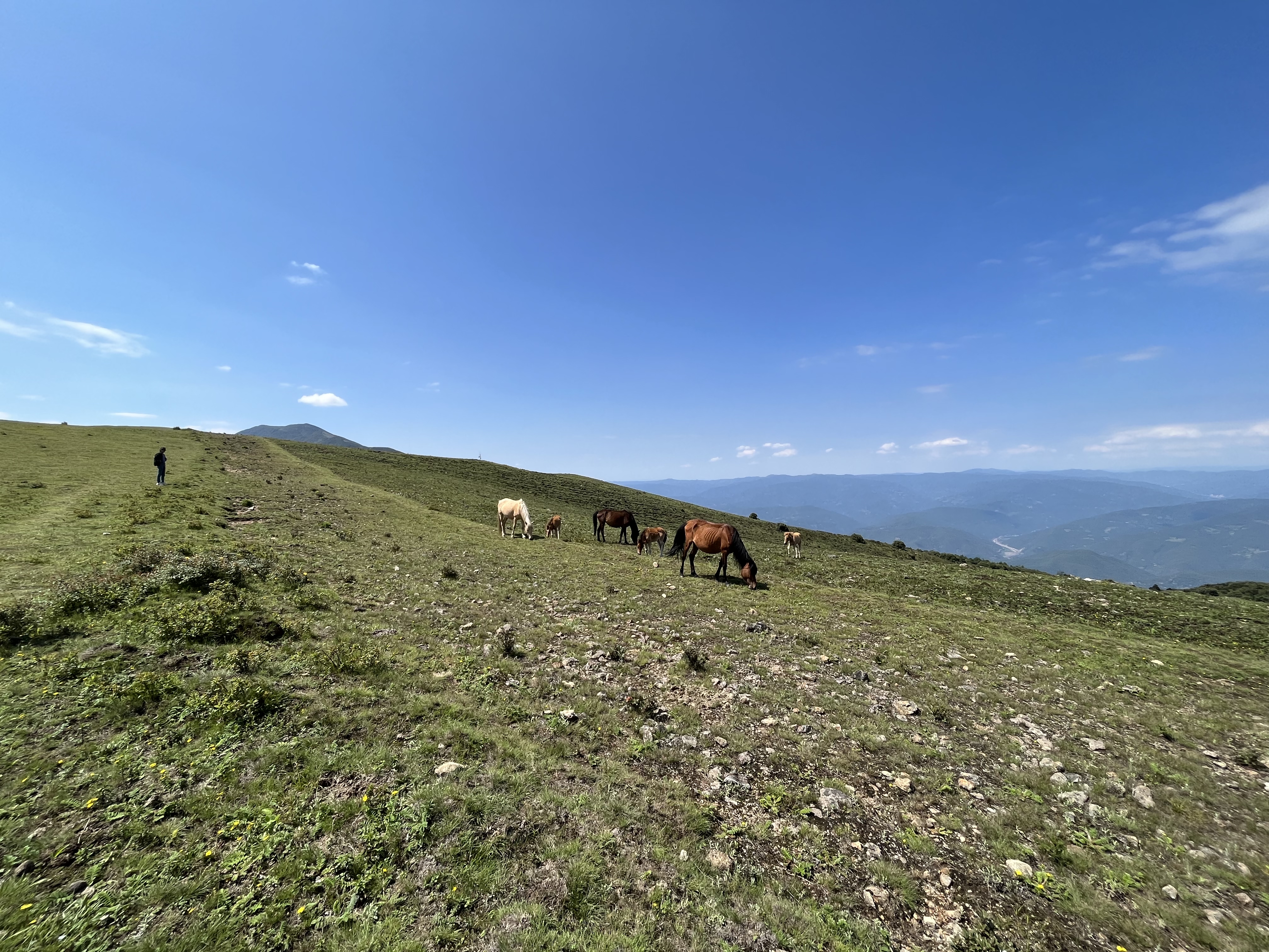 大理洱源鸟吊山,原生秘境,草原林海