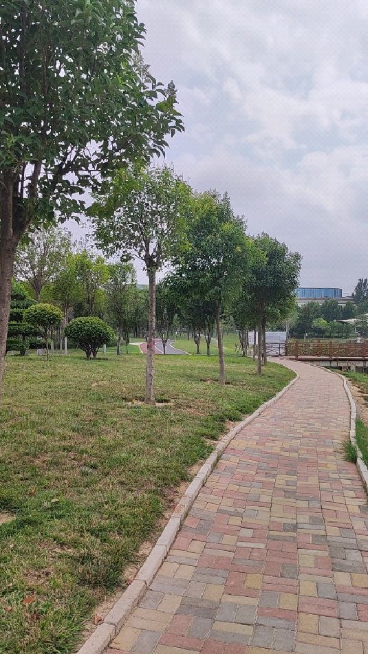 上街区最大的人工湖