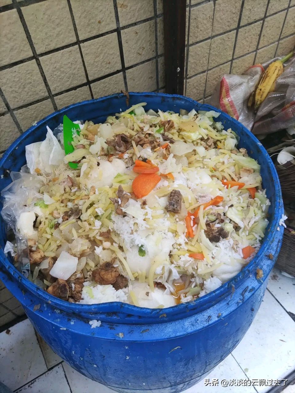 广东,东莞,一所学校食堂学生倒的剩菜剩饭,一天可以装满七八个大塑料