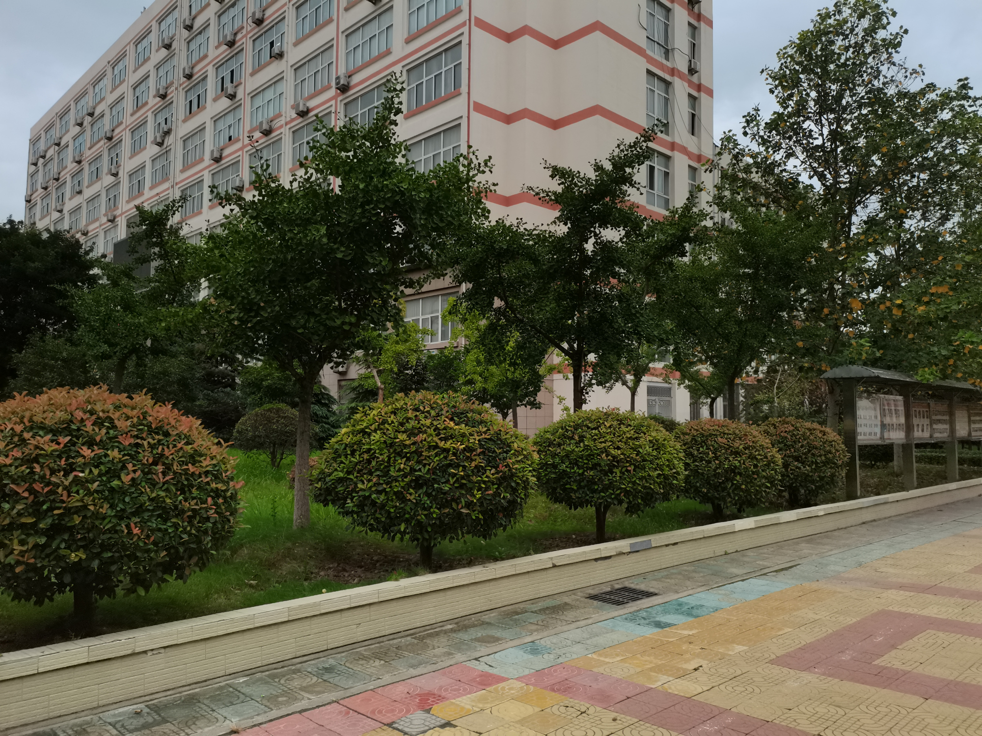 蒙城县第一中学梦想启航的地方