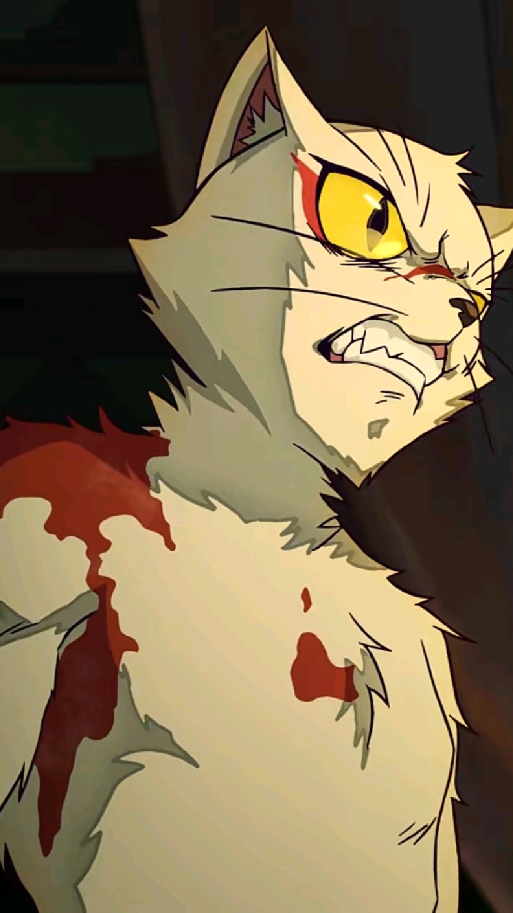 大理寺日志:一枝花捅一刀,猫爷还他好几刀,好厉害的小猫咪-度小视