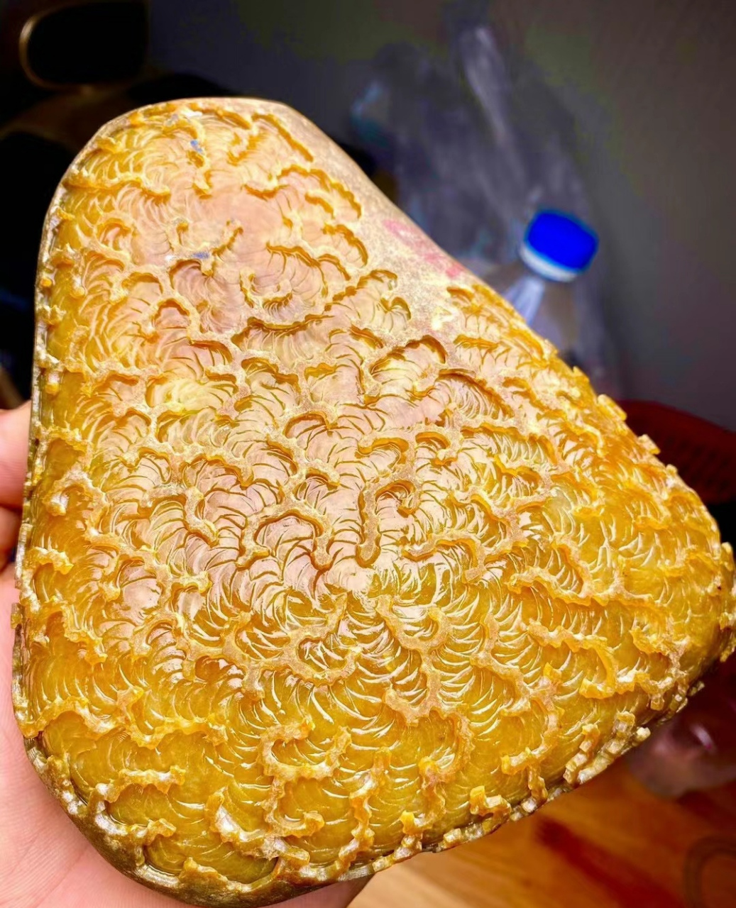 点击头像看直播# 大马坎水石开窗冰种黄翡手镯料 整个满肉了,压灯全