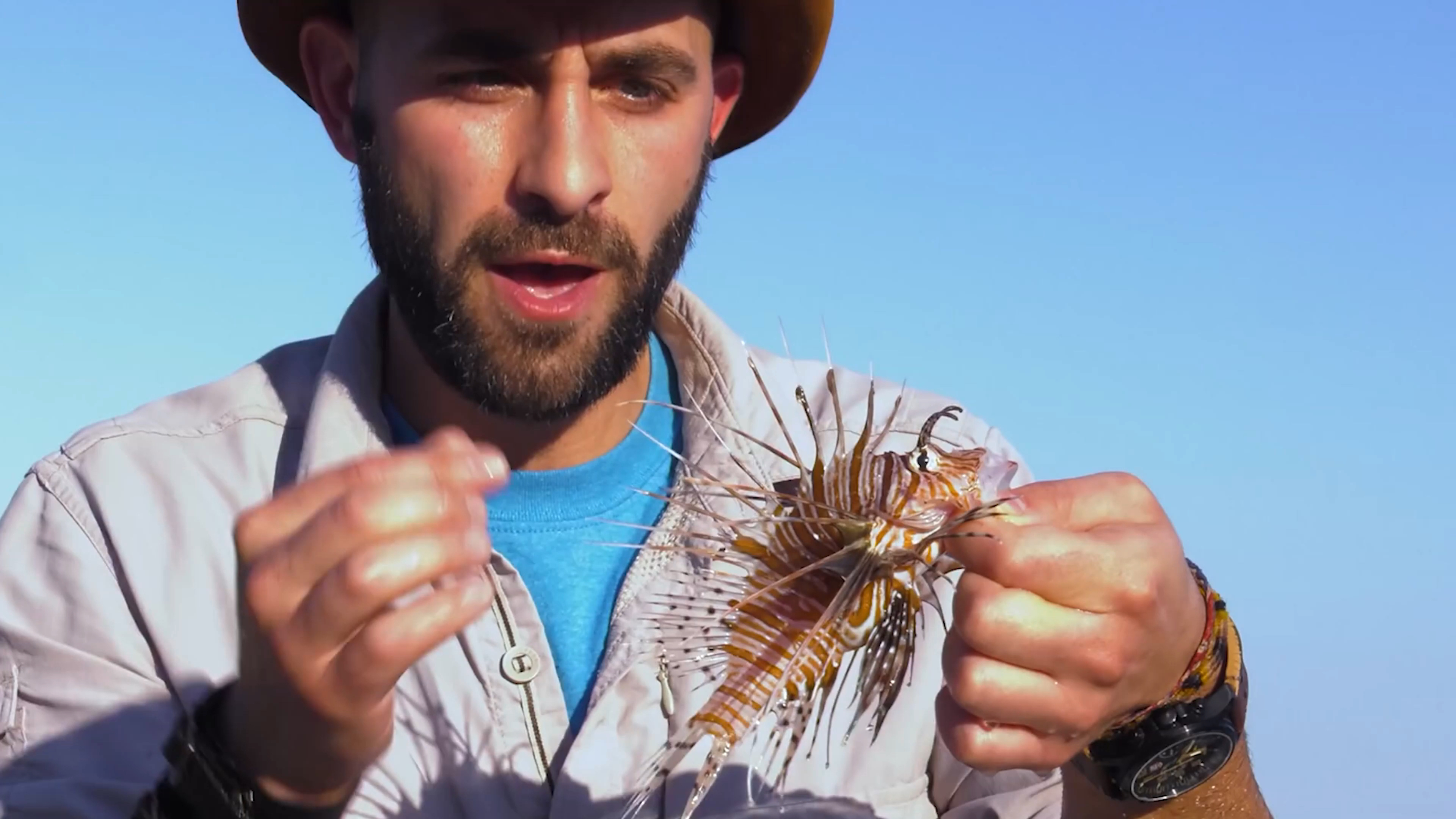被狮子鱼扎一下有多疼