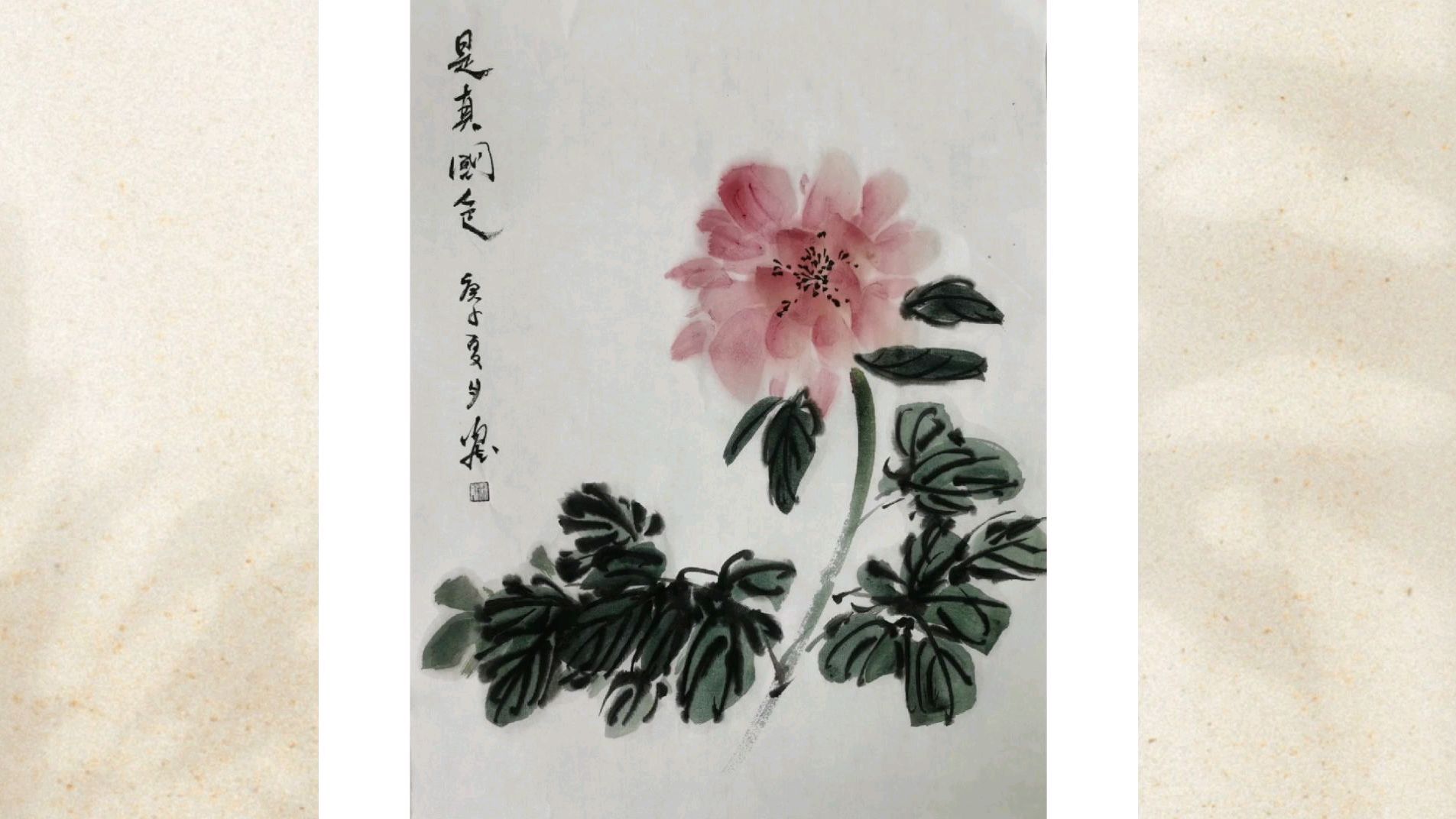 齐白石牡丹果真不一样,用笔大胆有气势