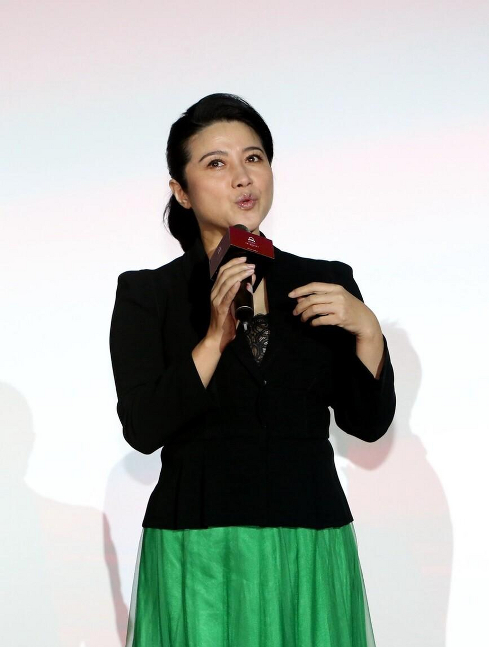 颜丙燕的实力就是她的作品,她用作品说话.