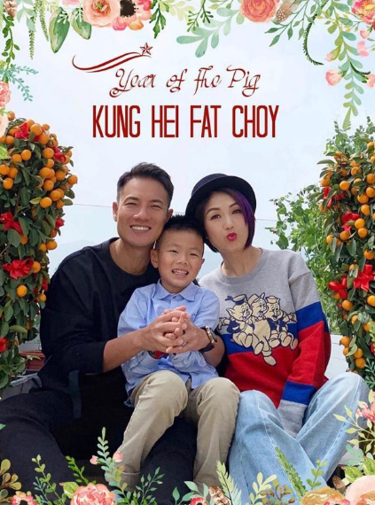 杨千嬅晒照庆祝与丁子高结婚14周年,一张温馨的合照惹人艳羡!