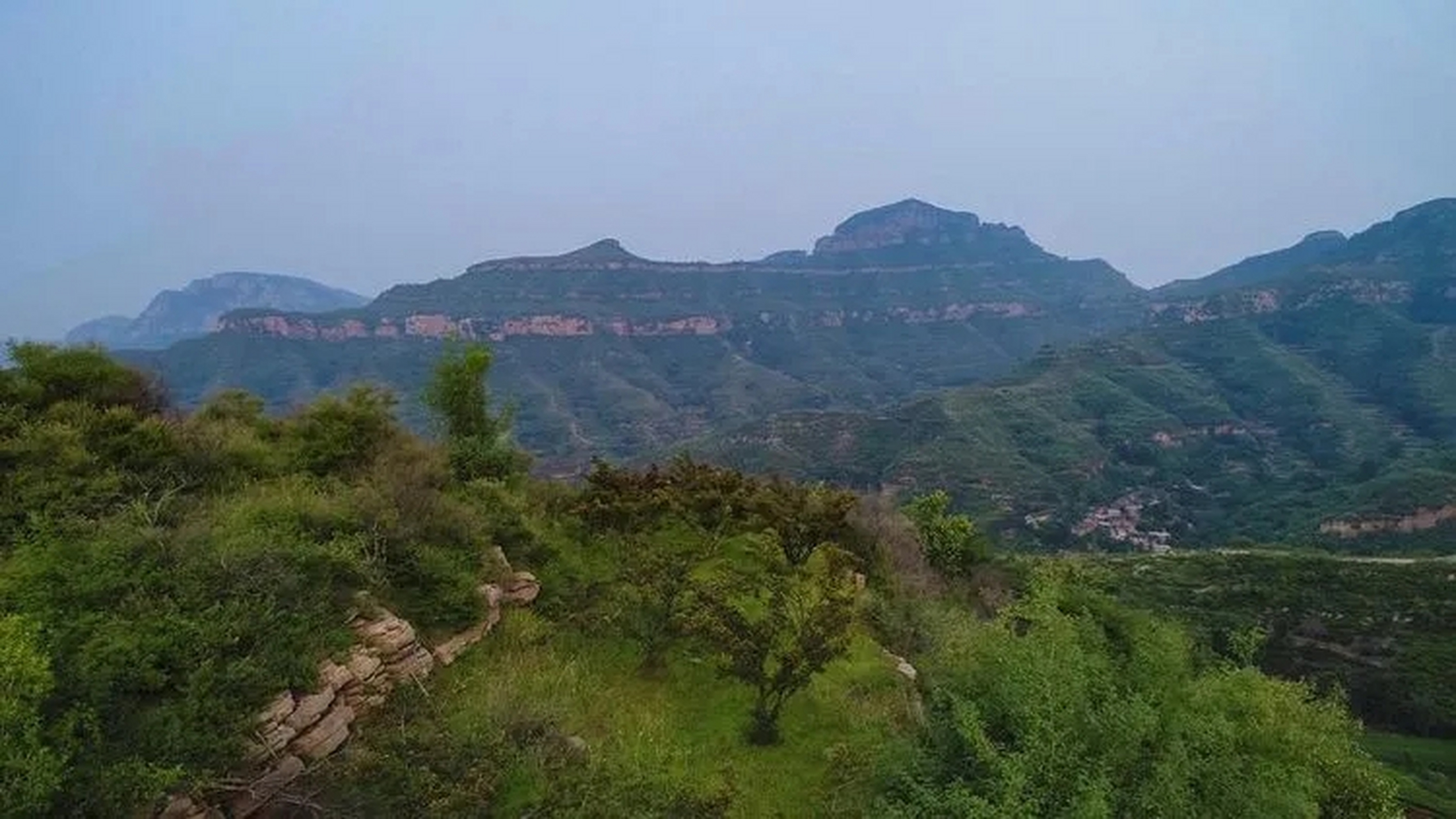 夏日生活创作季# 在鹤壁市淇县有一个名叫大石岩的山村,这里绿树骋耨