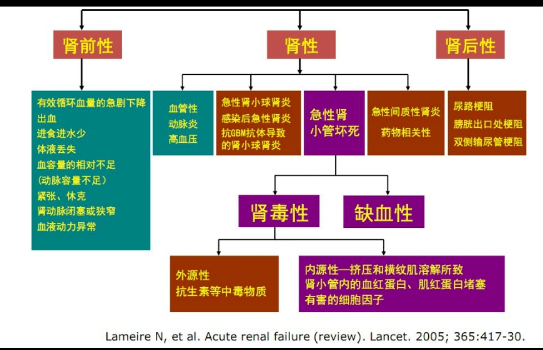 急性肾衰竭