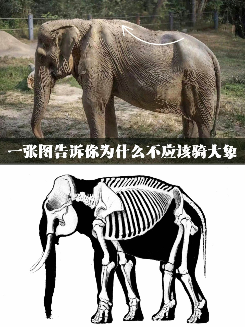 960_1280竖版 竖屏