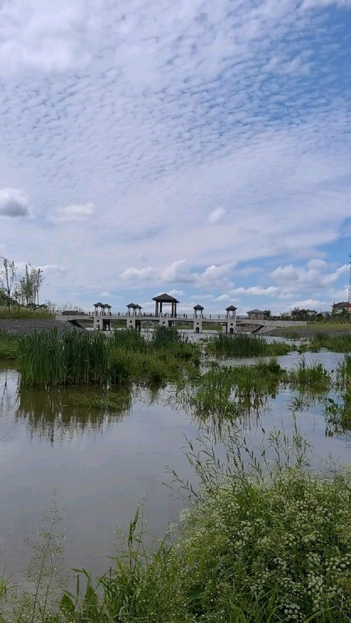 松江河市图片