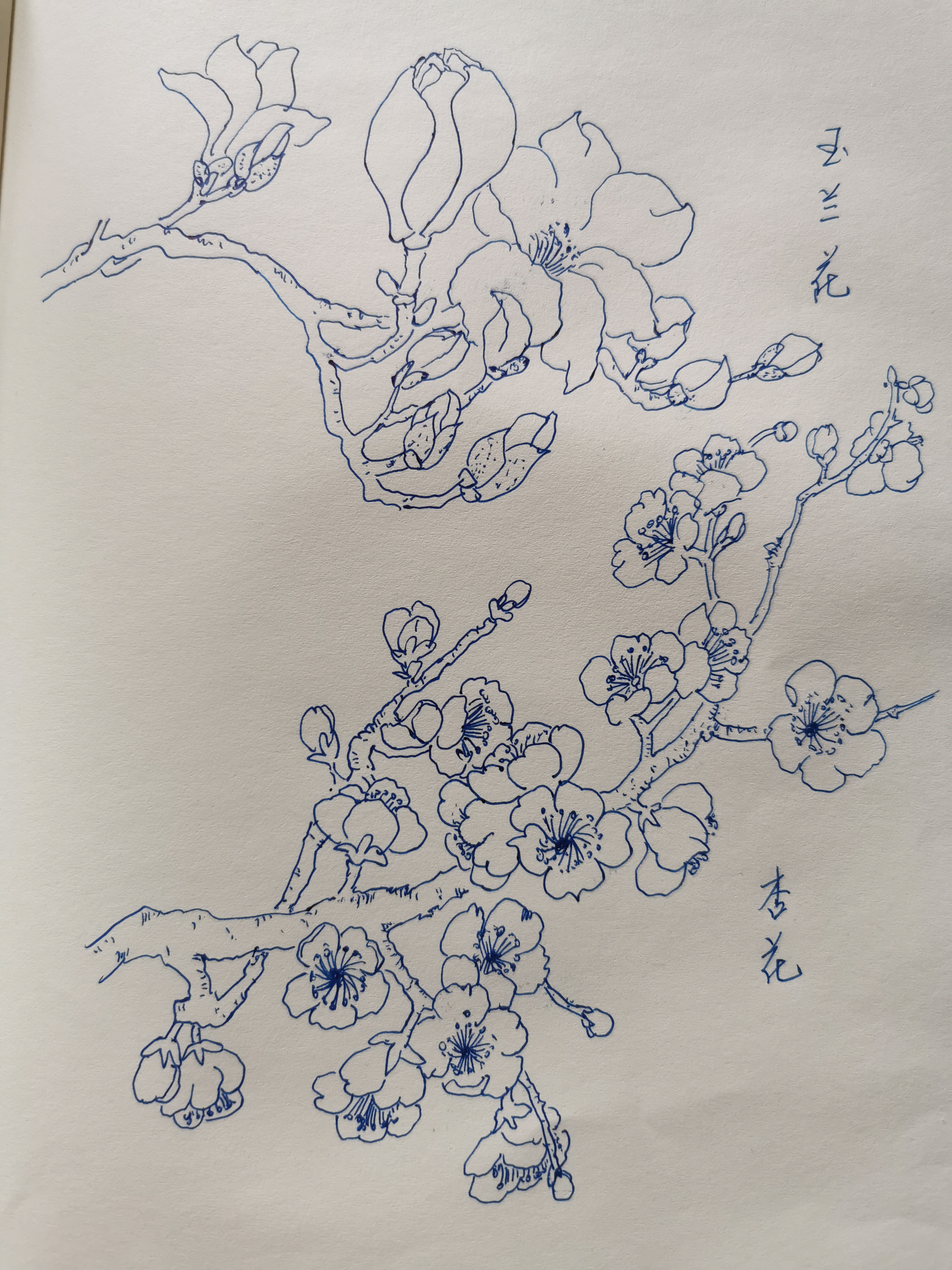 杏花吹满头.陌上谁家年少,足风流.妾拟将身嫁与,一生休